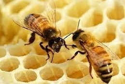 Hoe kunt u doneren aan een goed doel? image 5