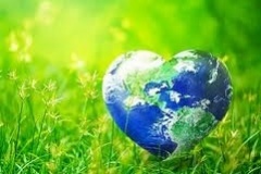 Notariële akte vs schenkingsovereenkomst image 6