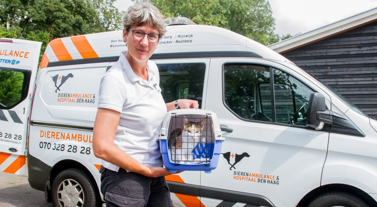 Dierenambulance Den Haag zoekt dappere dierenredders en coördinatietalenten