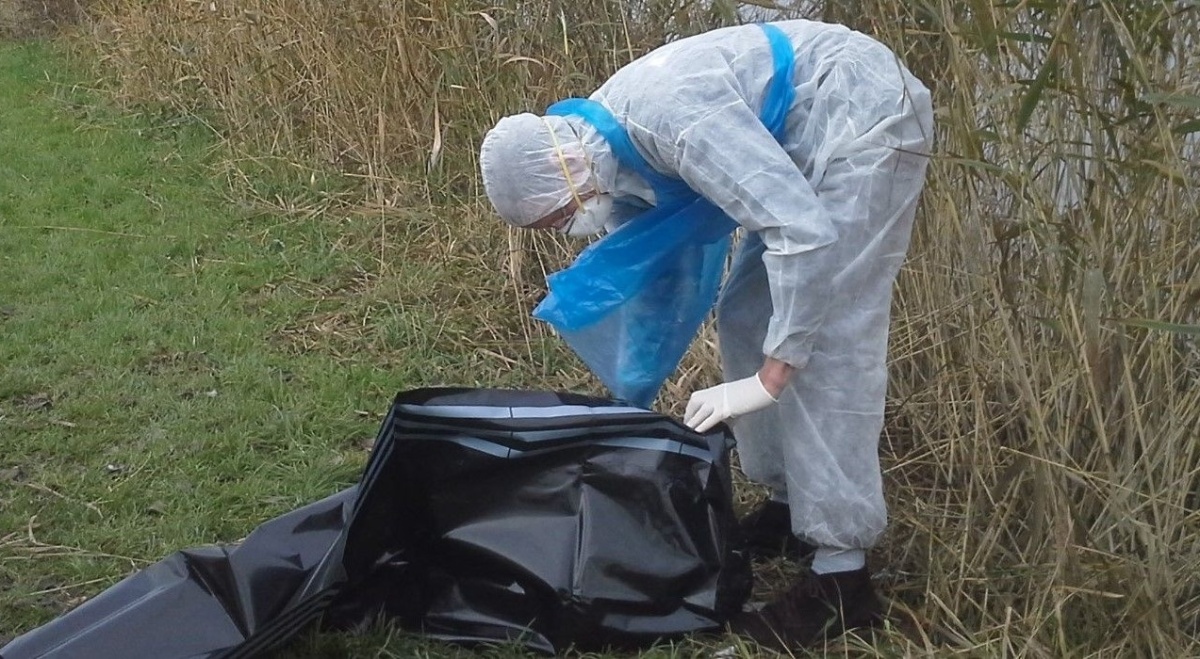 Dierenambulance Den Haag waarschuwt: “Pak vogels met vogelgriep niet op!”