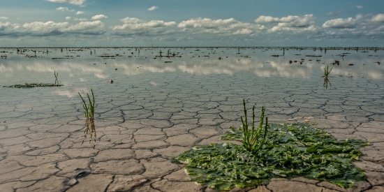 MOBILISEREN TEGEN DE KLIMAATOPWARMING
