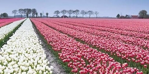 Hanneke Lenkens Nederland Filantropieland