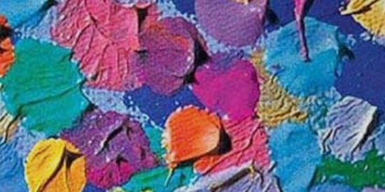 Marjan Scharloo museum vereniging