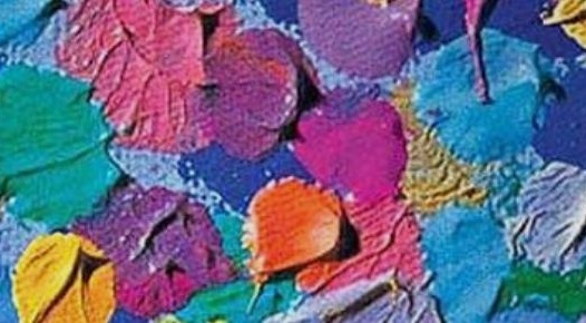 Marjan Scharloo museum vereniging