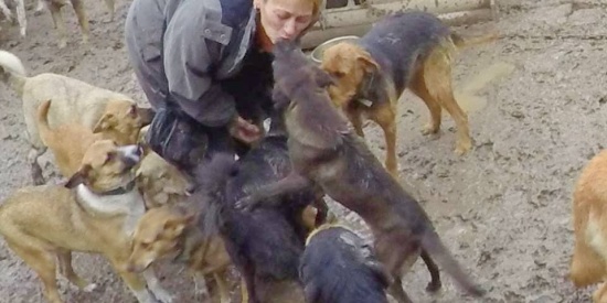 Krasi woont met 200 dieren in een bouwval.